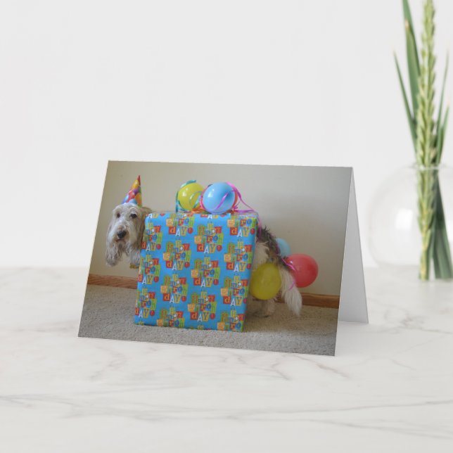 Carte Est-ce que quelqu'un a commandé un cadeau (Devant)