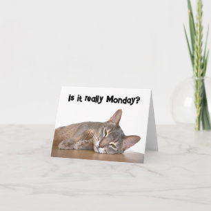Carte Est-Ce Vraiment Lundi ? Mème de chat Abyssinien dr