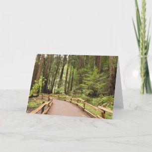 Carte États-Unis, Californie, comté de Marin, Muir Woods