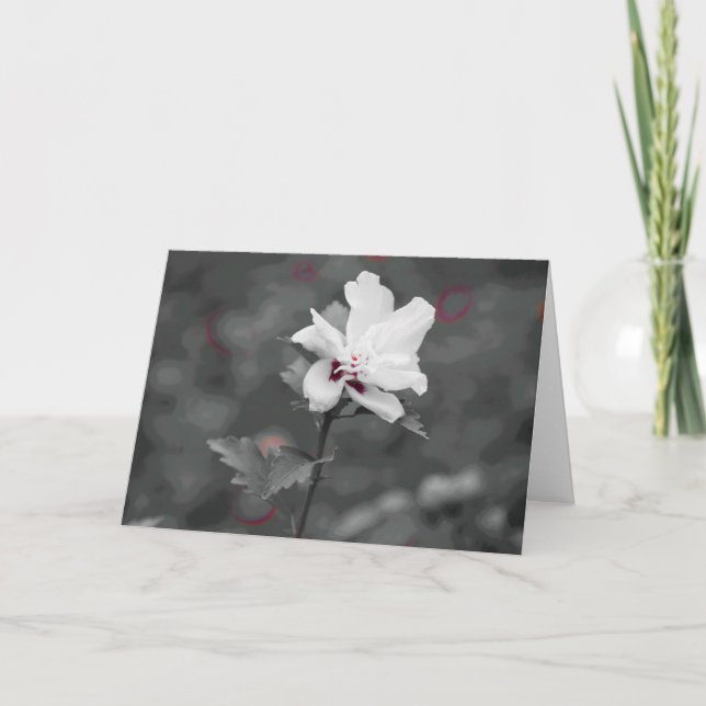 Carte Été (Devant)