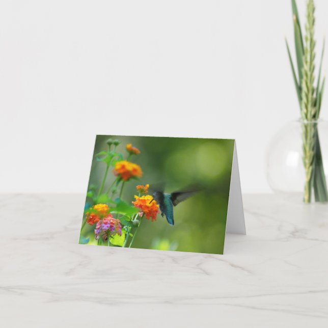 Carte Été ronflant (Devant)