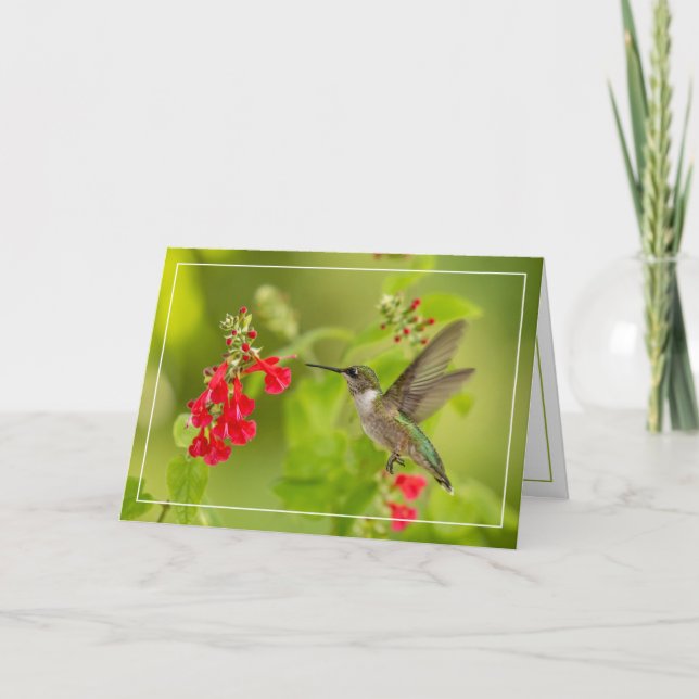 Carte Été vert doux (Devant)