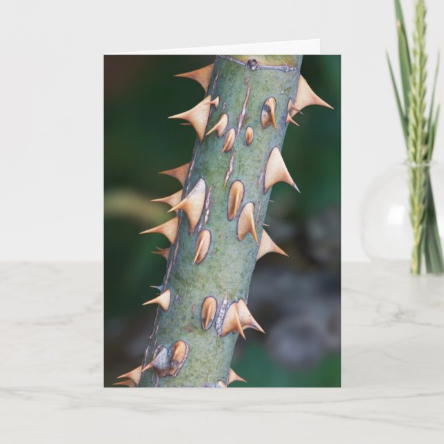 Carte Êtes-vous prêts ? (Devant)