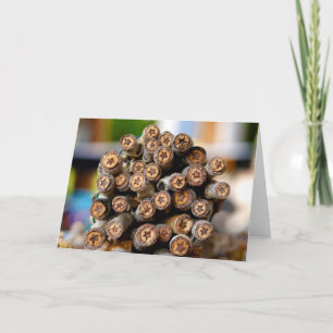 Carte Etoiles le long du Rio Grande Cotton Wood Trees