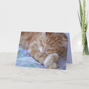 Carte Être malade nuls