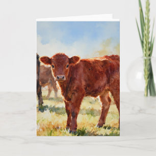 Carte Étude de veau Red Angus A à l'aquarelle