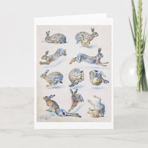 Carte Études sur le lièvre sauvage (lapin), Bruno Liljef