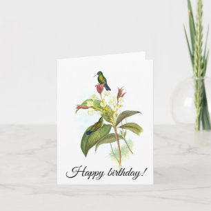 Carte Eucephala caerulea (saphir à poils bleus)