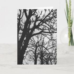 Carte Europe, France, Paris. Les arbres d'hiver, Marco