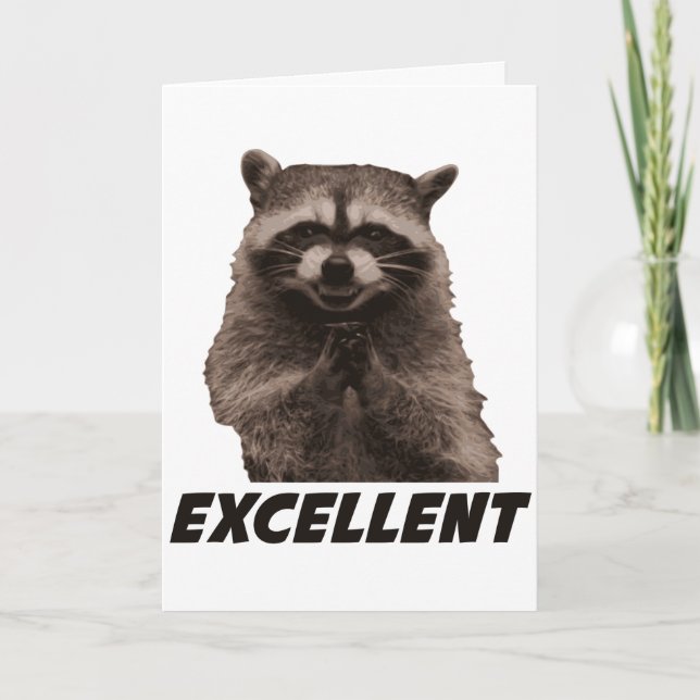 Carte Excellent Raccoon de lot de mal (Devant)