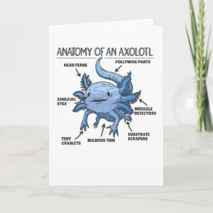 Carte Explication Axolotl Anatomie D'Un Axolotl