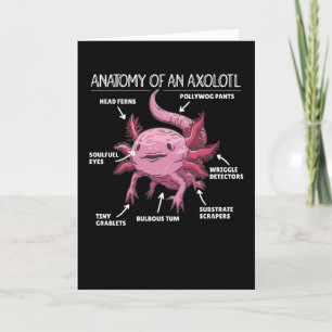Carte Explication Axolotl Anatomie D'Un Axolotl