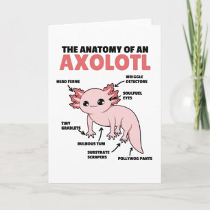 Carte Explication Axolotl Anatomie D'Un Axolotl