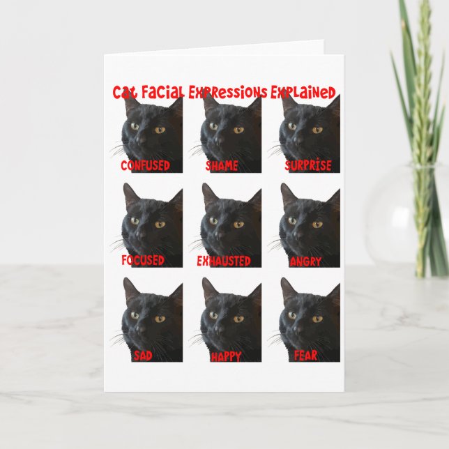 Carte Expressions faciales Cat Expliqué Graphique Découp (Devant)