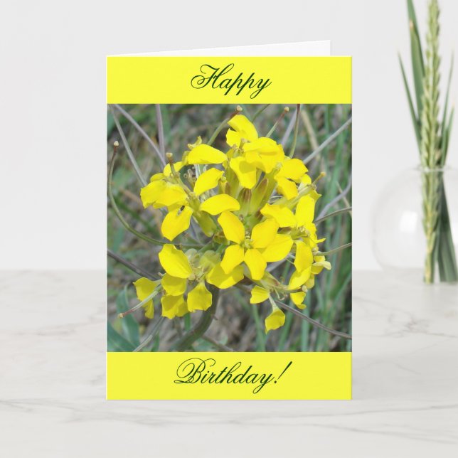 Carte F14 Fleurs sauvages jaunes (Devant)