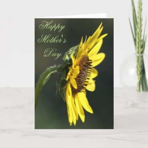 Carte F43 Fleur sauvage jaune Susan aux yeux noirs