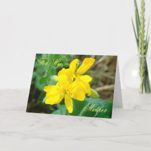 Carte F44 Fleurs sauvages jaunes Moutarde sauvage