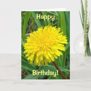 Carte F45 Dandelion "Taraxacum officinale"