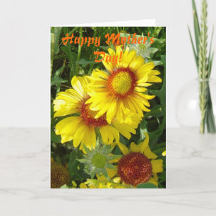 Carte F6 Fleurs sauvages jaunes Gaillardia