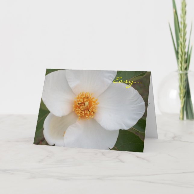 Carte Facile est (Devant)