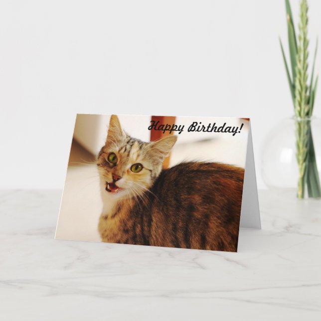 Carte Fais attention à ce qu'il y a un birman ! (Devant)