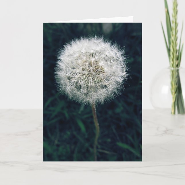 Carte Fais un vœu (Devant)