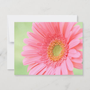 Carte Faisée de Gerber Rose personnalisable