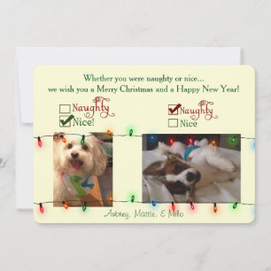 Carte faite sur commande de chien de Noël