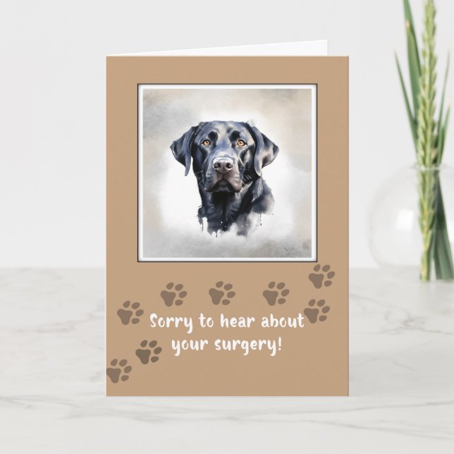 Carte Faites bien le chien après la chirurgie avec Black (Devant)
