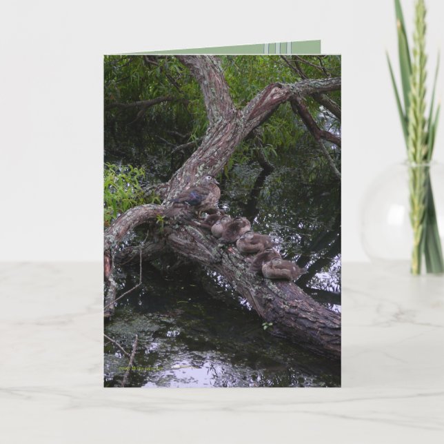 Carte Famille au repos (Devant)