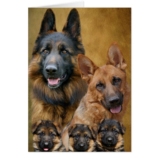 Carte famille berger allemande (Devant)