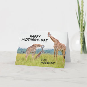 Carte Famille de girafe des images   de Getty
