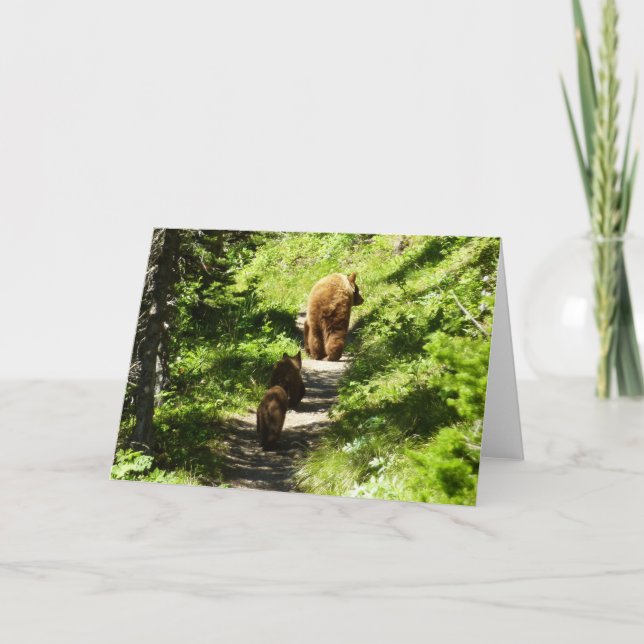 Carte Famille d'ours Brown (Devant)