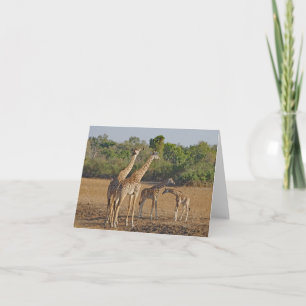 Carte Famille Giraffe
