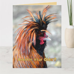 Carte Fancy Rooster Joyeux Humour d'anniversaire GRANDE 