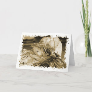 Carte Fantail Pigeon