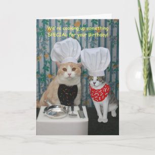 Carte Fantastique Chef Chats Anniversaire