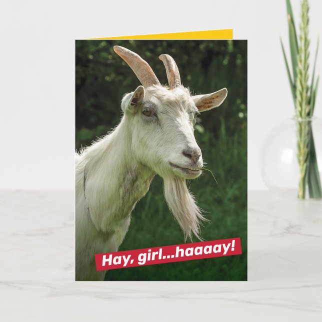 Carte Fantastique Hé Girl, Ryan Gosling Chèvre Spoat (Devant)
