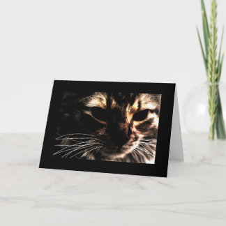 Carte Fantôme Cat With Border