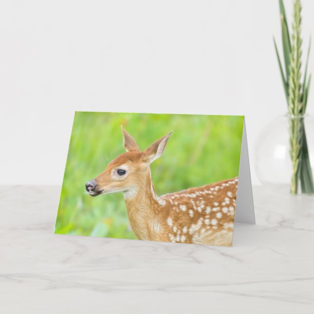 Carte Faon de cerf à queue blanche | Minnesota (Devant)