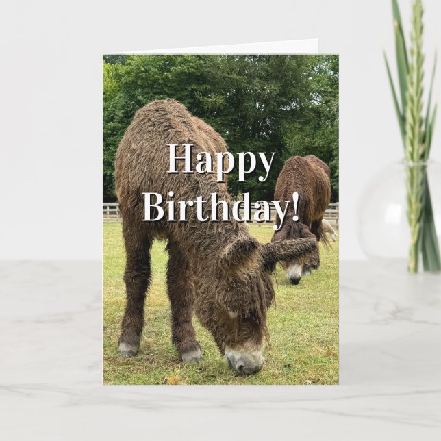 Carte Farm Animal Donkey Cute Barnyard Funny Birthday  (Devant)