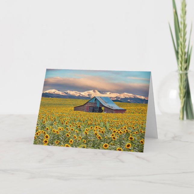Carte Farms | Field (Devant)