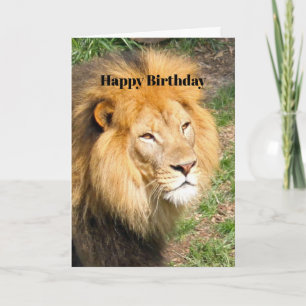 Carte Faune African Lion Face Photo Anniversaire