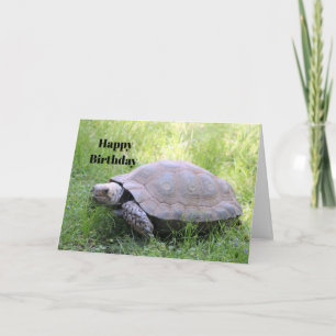 Carte Faune Brown Tortoise Photo Anniversaire