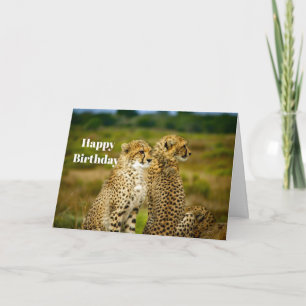 Carte Faune Cheetah Photo Anniversaire