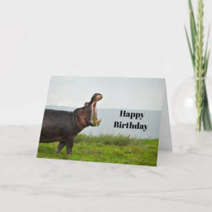 Carte Faune Hippopotamus Photo Anniversaire