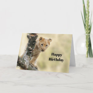 Carte Faune Lion Cub Photo Anniversaire
