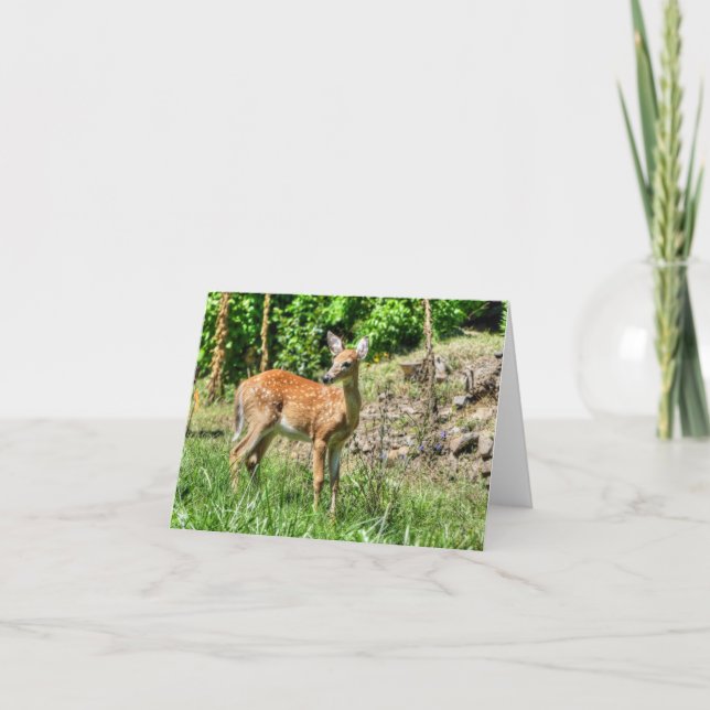 Carte Faune localisée (Devant)