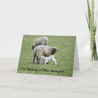 Carte Feeding_Lambs, je sens timide…