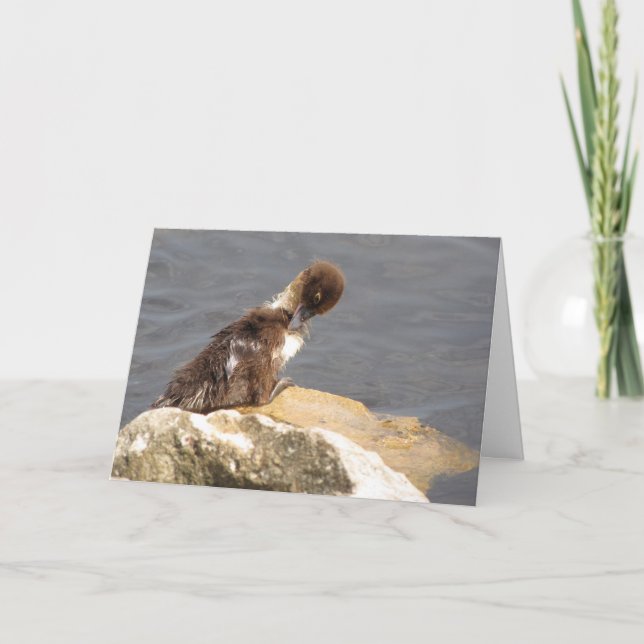 Carte Feelin' Ducky (Devant)